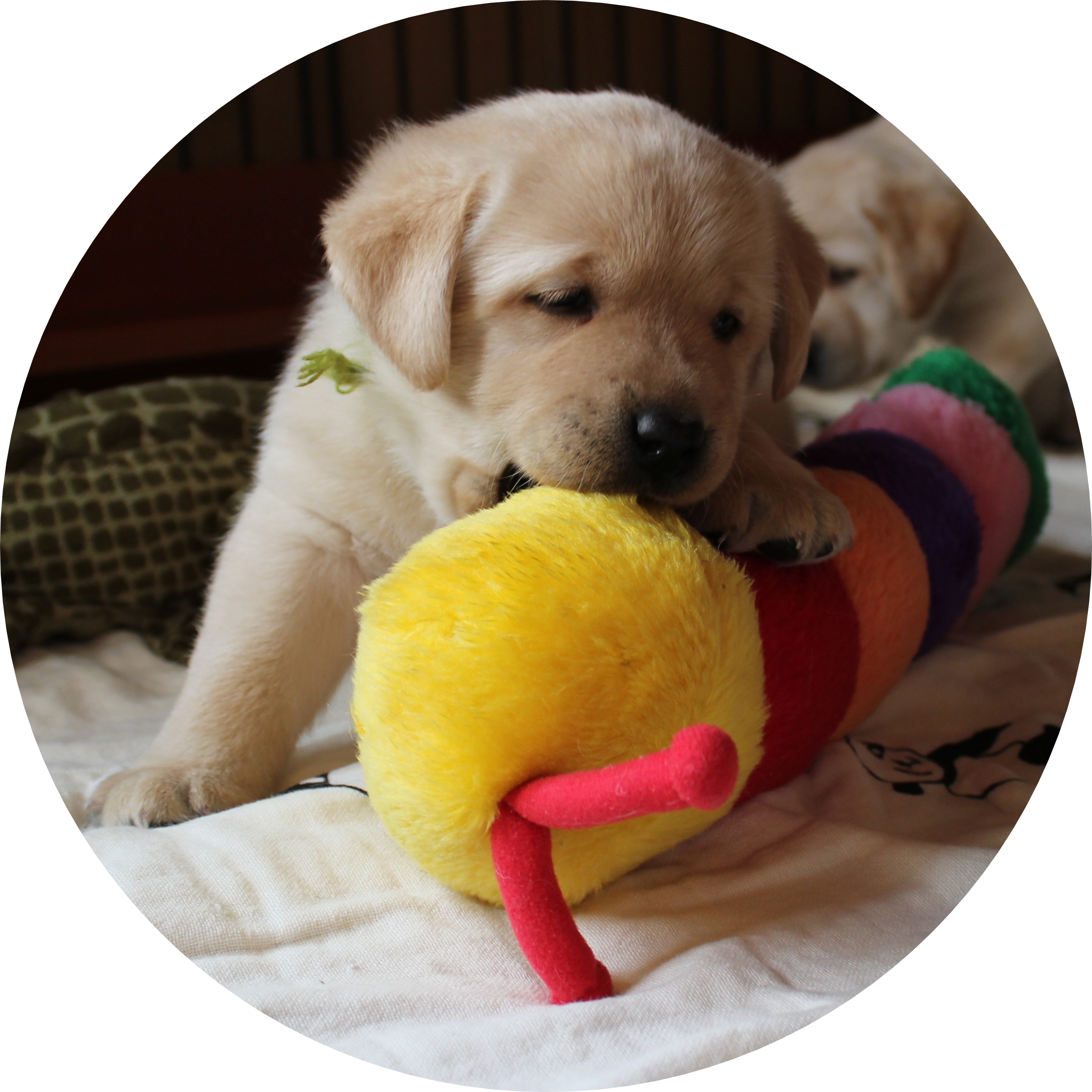 メッセージイメージ