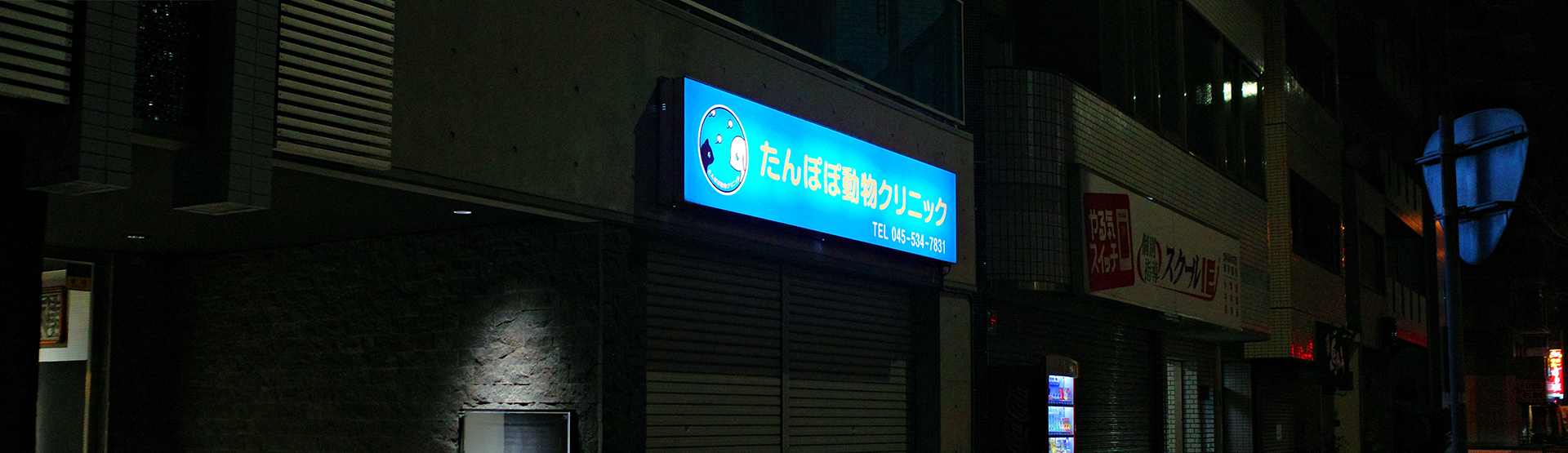 お知らせ メインビジュアル