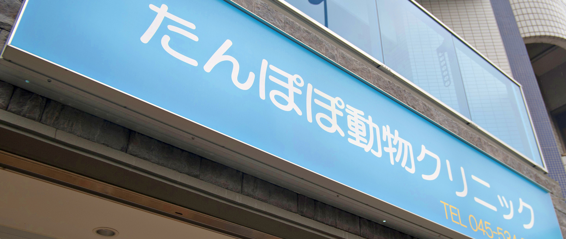 たんぽぽ動物病院外観